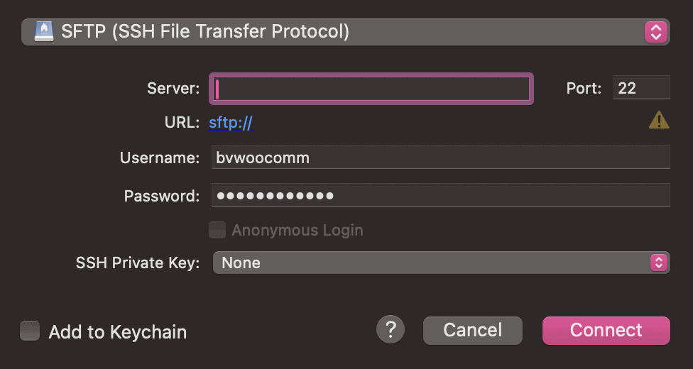 Access site files via FTP